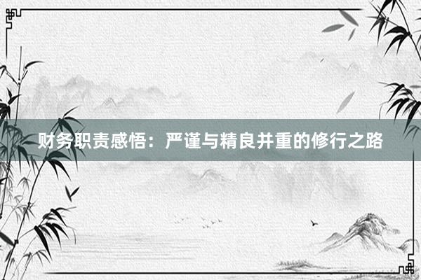 财务职责感悟：严谨与精良并重的修行之路